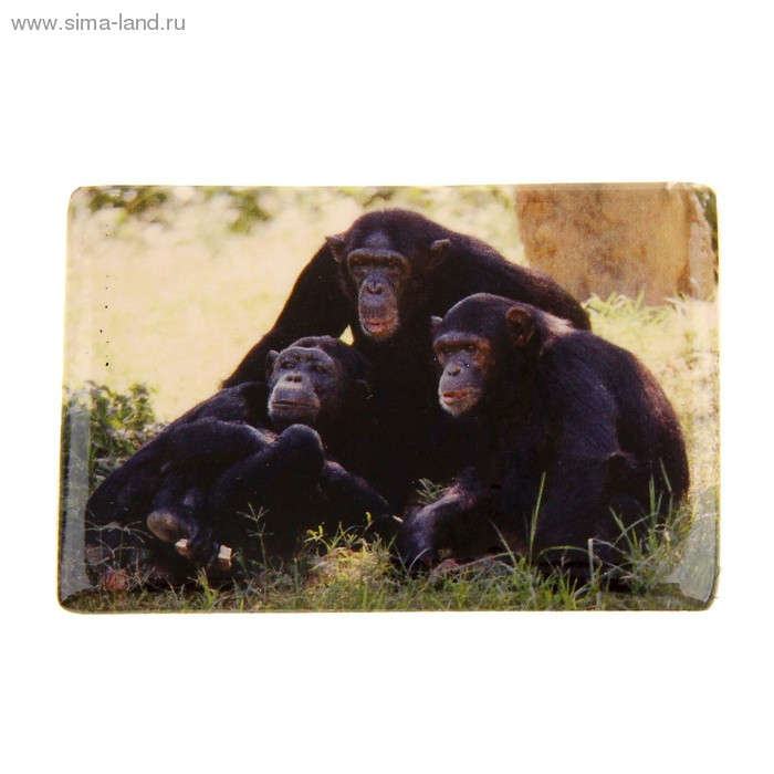 юМагнит СИМВОЛ ГОДА "Семья обезьян" 7,5см арт.1057294 юМагнит СИМВОЛ ГОДА "Семья обезьян" 7,5см арт.1057294