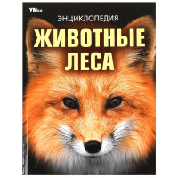 Энциклопедия А4 Животные леса (Умка) арт.978-5-506-09108-0 Энциклопедия А4 Животные леса (Умка) арт.978-5-506-09108-0