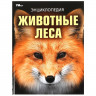 Энциклопедия А4 Животные леса (Умка) арт.978-5-506-09108-0 Энциклопедия А4 Животные леса (Умка) арт.978-5-506-09108-0