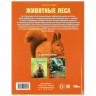 Энциклопедия А4 Животные леса (Умка) арт.978-5-506-09108-0 Энциклопедия А4 Животные леса (Умка) арт.978-5-506-09108-0