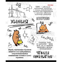 Тетрадь предметная 48 листов (Prof-Press) Капибара Химия тиснение лен арт.48-0002