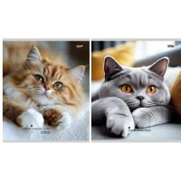 Тетрадь А5 клетка 48 листов на гребне (Profit) Милые коты мелованная обложка ассорти арт.48-8615 Тетрадь А5 клетка 48 листов на гребне (Profit) Милые коты мелованная обложка ассорти арт.48-8615