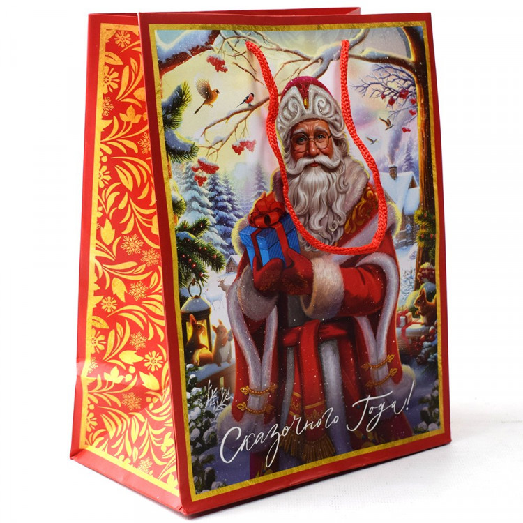 Пакет подароч. бумаж. 18*23см "Дед Мороз" арт.95685FE