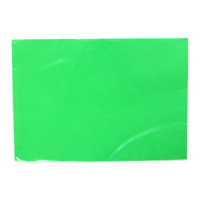 Бумага цветная А4 50л интенсив зеленый 80г/м2 арт. (Ст.40)