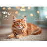 Альбом для рисования 24 листа спираль (Prof-Press) Милые котики матовая ламинация выборочный лак ассорти арт.24-8562