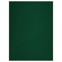 Тетрадь А4 клетка 48 листов бумвинил скоба (BG) зеленый арт.Т4бв48к_12322 Тетрадь А4 клетка 48 листов бумвинил скоба (BG) зеленый арт.Т4бв48к_12322