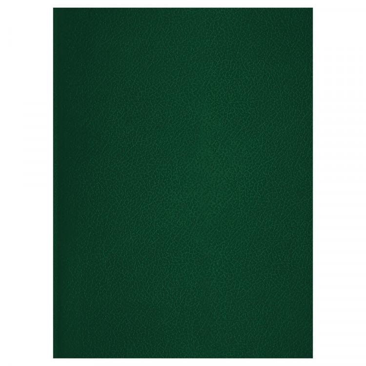 Тетрадь А4 клетка 48 листов бумвинил скоба (BG) зеленый арт.Т4бв48к_12322 Тетрадь А4 клетка 48 листов бумвинил скоба (BG) зеленый арт.Т4бв48к_12322