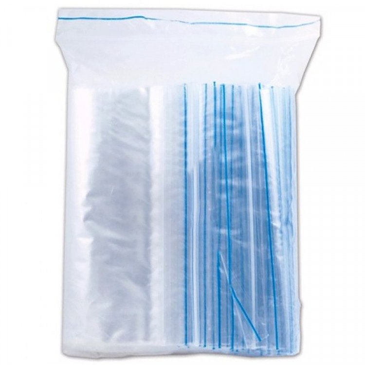 Пакет с замком (Zip Lock гриппер) 250*350мм, комплект 100штук в упаковке (Ст.10)