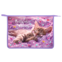 Папка школьная для тетрадей А4 на молнии 1отделение (Hatber) Мяу-стори арт.AMc_03036