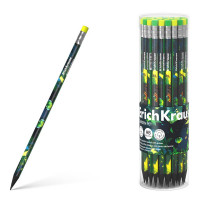 Карандаш чернографитный ErichKrause с ластиком Садовый кот (Garden Pet) HB трехгранный корпус пластик арт.62772 (Ст.42)