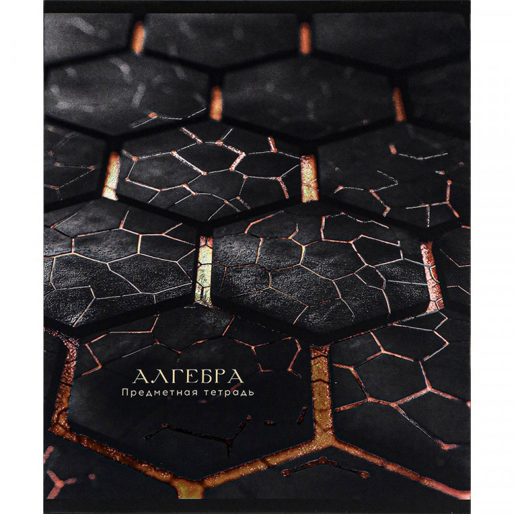 Тетрадь предметная 48 листов (Prof-Press) Black&Cold Алгебра холодная фольга софт-тач выборочный лак арт.48-2679