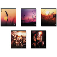 Тетрадь А5 клетка 48 листов скоба (ErichKrause) Macro Nature матовая ламинация ассорти арт.64861