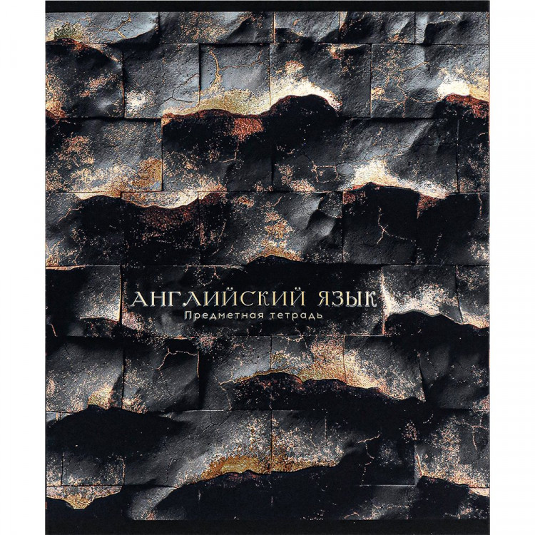 Тетрадь предметная 48 листов (Prof-Press) Black&Cold Английский язык холодная фольга софт-тач выборочный лак арт.48-2680