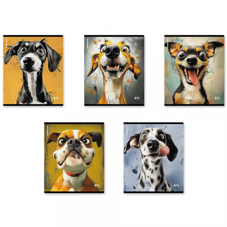 Тетрадь А5 клетка 48 листов скоба (ErichKrause) Goofy твин-лак ассорти арт.64871 Тетрадь А5 клетка 48 листов скоба (ErichKrause) Goofy твин-лак ассорти арт.64871